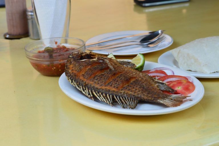 La Tilapia, una opción nutricional para tener en cuenta