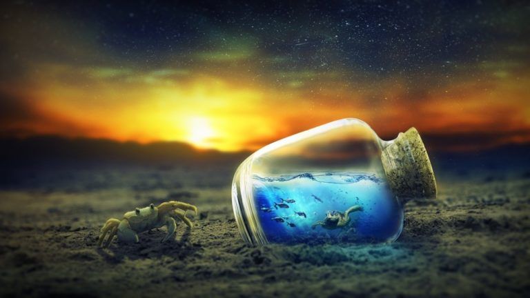 El mar podría ser una farmacia para ayudar al cuidado de diversos cultivos, dice investigación
