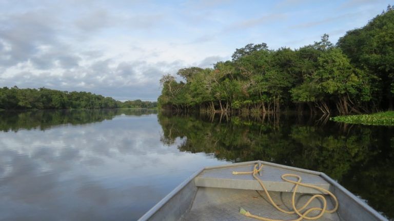 Fauna de la Amazonía se estudia gracias a cámaras fotográficas de sensor