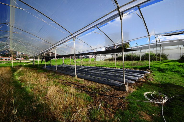 Llega el invernadero móvil para pequeños y grandes agricultores