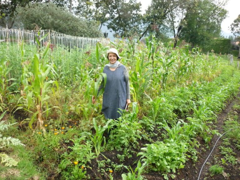 Productos orgánicos, de la huerta a su mesa