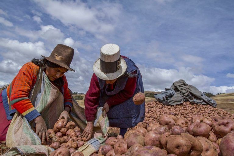 Agua, Mujeres y Reconciliación, por el sostenimiento del sector rural