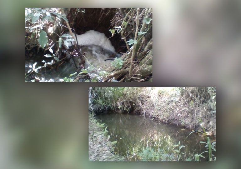 Las Cartas del Campo: contaminación en fuentes de agua natural