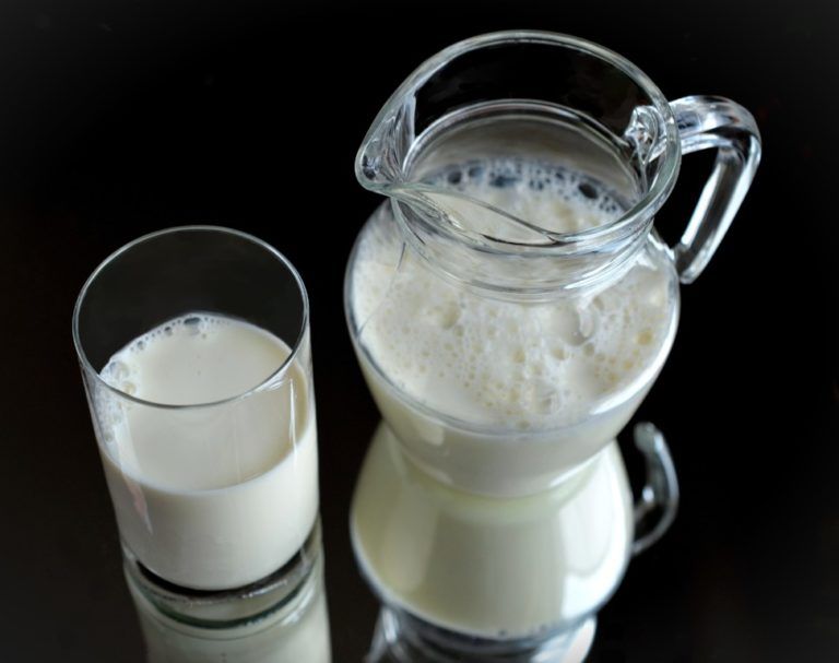 La leche, un alimento indispensable para llevar a la mesa