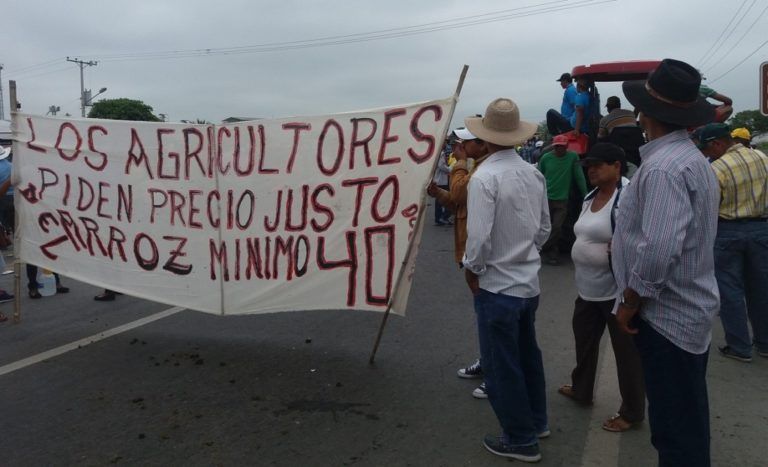 Gremio de arroceros en espera de entrega de recursos por parte de MinAgricultura