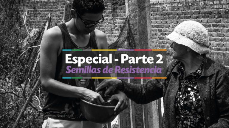 La huerta donde doña Tulia resguarda las semillas nativas
