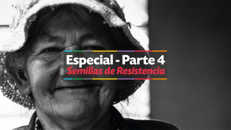 Las soluciones de los campesinos para salvaguardas las semillas nativas
