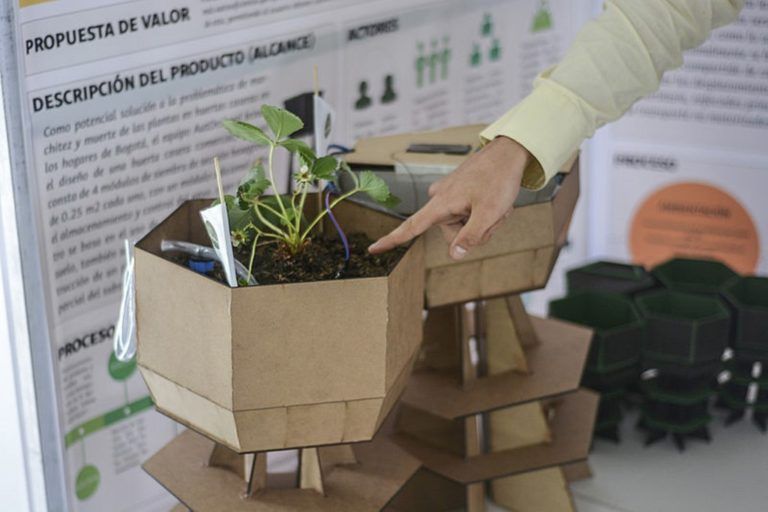 Huerta automatizada facilita cultivos caseros