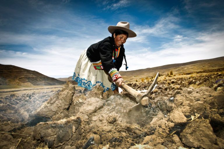 Con menos tierra y agua, en 2050 se deberá producir el doble de alimentos