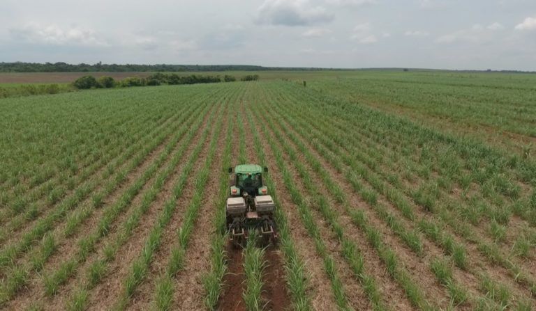 Fronteras agrícolas: las nuevas rutas estratégicas para cultivar