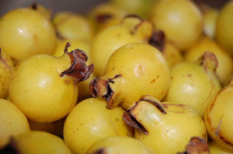 El Arazá, una fruta exótica que busca conquistar nuevos mercados