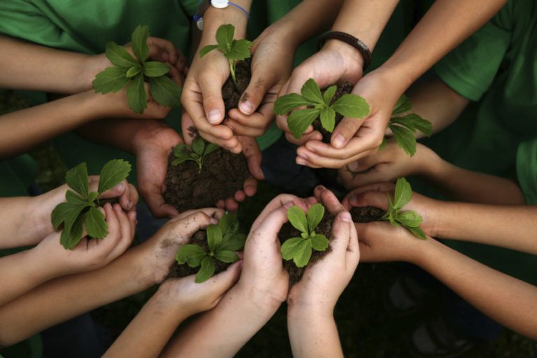 Colombia trabaja en el fortalecimiento de una cultura ambiental sostenible
