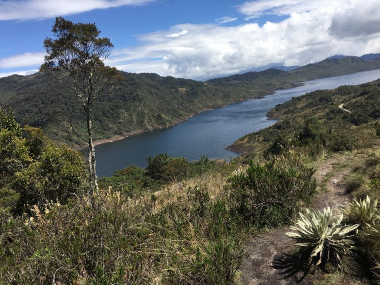 Parque Chingaza: una riqueza natural para conocer y defender