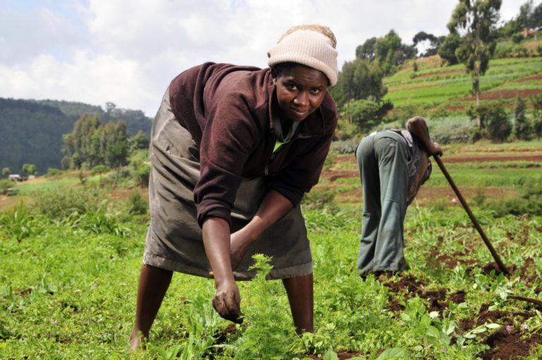 En África, las empresas agrícolas pueden frenar la migración de jóvenes