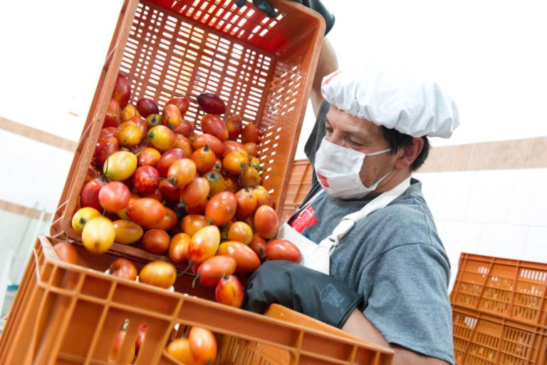 Banco de Alimentos de Bogotá: 17 años alimentando la esperanza de miles de colombianos