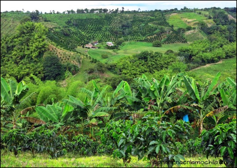Eje Cafetero sede del 5º encuentro de responsables ambientales de América Latina y el Caribe