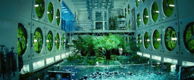 Agricultura espacial, una actividad que podría convertirse en realidad