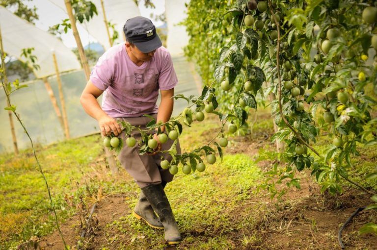 Formalización del empleo rural, el reto que enfrenta el Gobierno