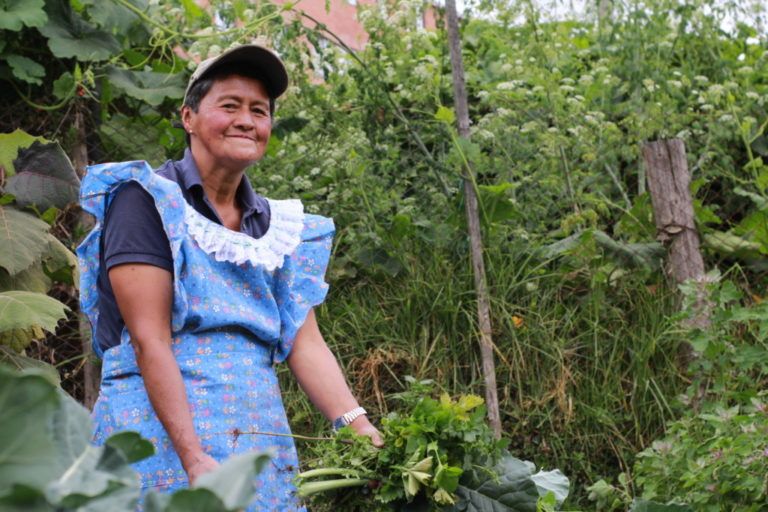 Sembrando entre el concreto, el proyecto de agricultura ecológica de ‘Chava’