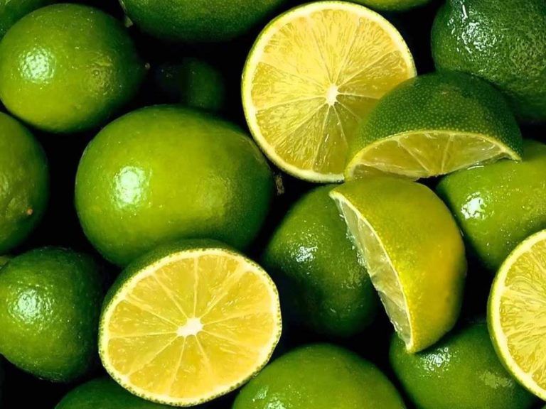 Limón Tahití será exportado a Argentina
