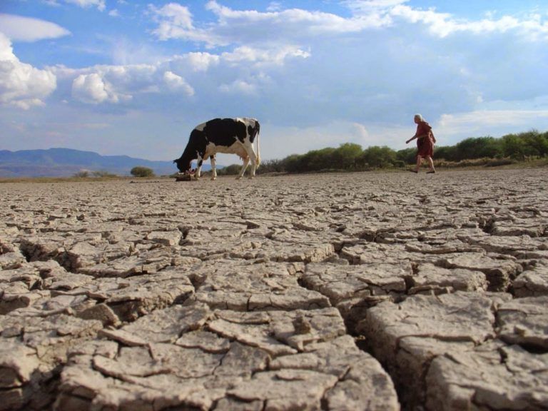 El Fenómeno del Niño podría llegar antes de lo previsto