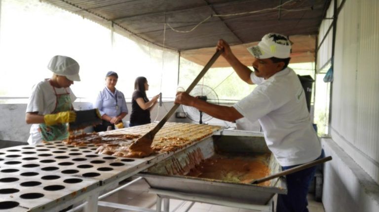 El mejor endulzante natural es de origen colombiano