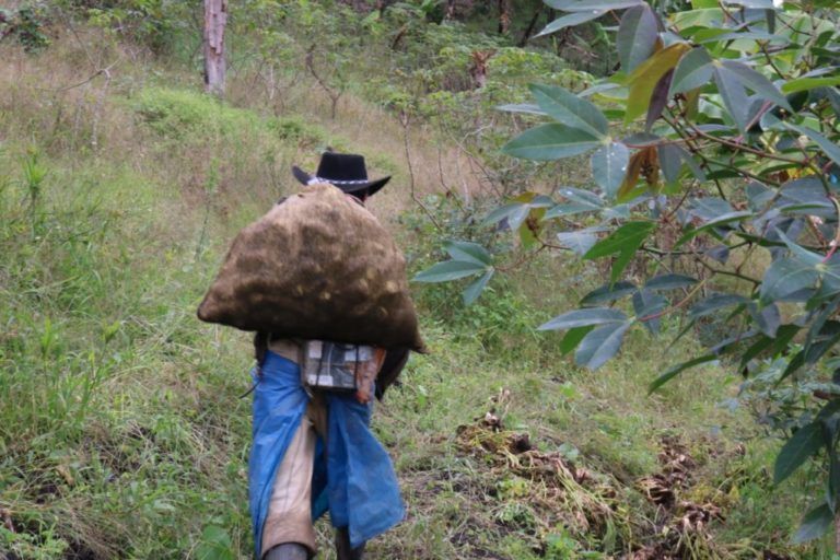 ‘Historias de Resistencia’: tras la lucha de los campesinos de Cajamarca, Tolima