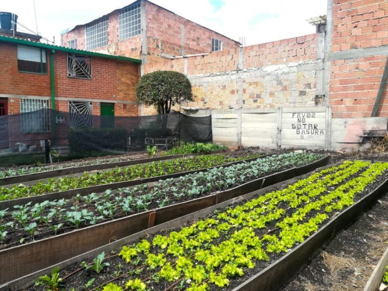 Huertas urbanas en Madrid, Cundinamarca: integrando el campo a la ciudad