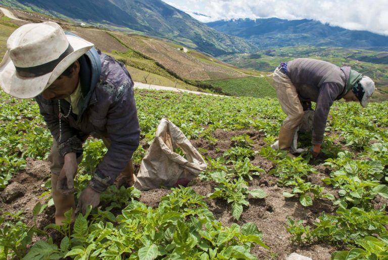 Agricultores nariñenses se capacitan para mejorar su producción y creación de empresas