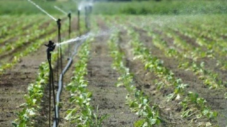 El Zulia, en Norte de Santander, buscan mejorar su distrito de riego