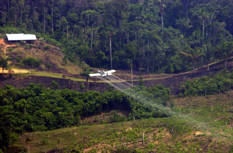 Radio Mundo Rural: Vuelven las fumigaciones con glifosato