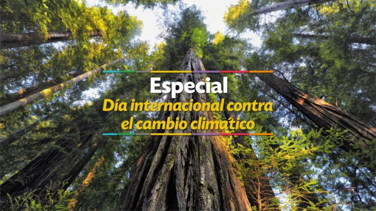¿Qué hay detrás del cambio climático?