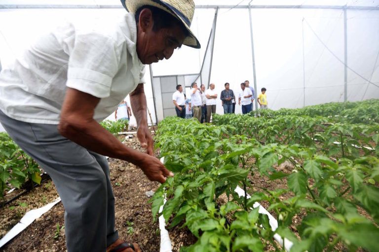 La innovación en el campo, ahora será respaldada por una ley