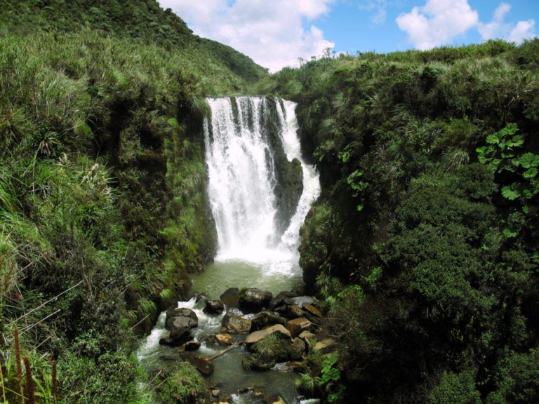 Colombia busca proteger los recursos naturales renovables