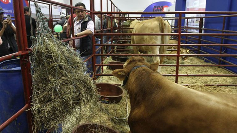 Barranquilla está lista para Agroexpo Caribe 2018