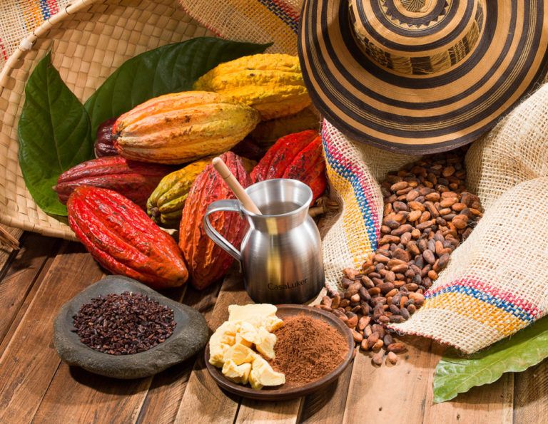 Organización Internacional Chocolate Awards destaca labor de Fedecacao