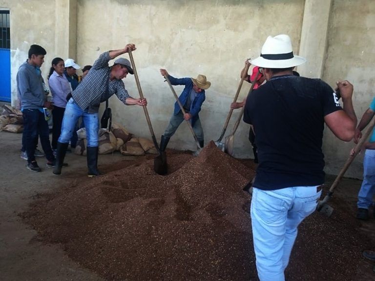 Campesinos aprenden técnicas de elaboración de concentrado bovino