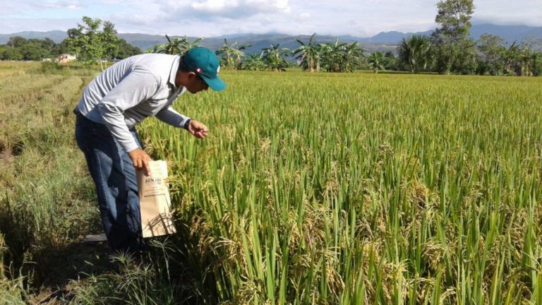 ICA fortalecerá procesos sanitarios para sector agrícola en Colombia