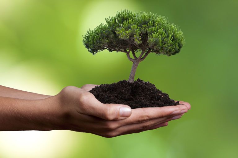Crecen los negocios de emprendimiento verde en Santander