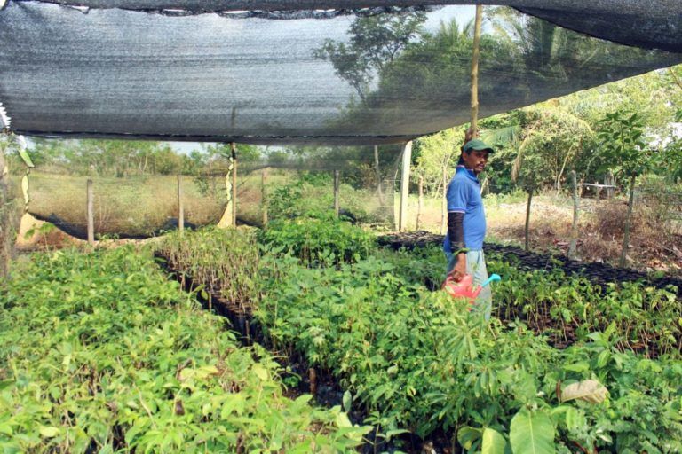 La Mojana: reconstruyendo un territorio resiliente luego de una catástrofe