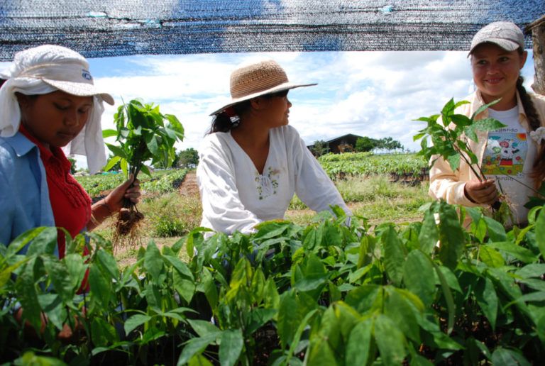 Mujeres rurales siguen sufriendo desigualdad
