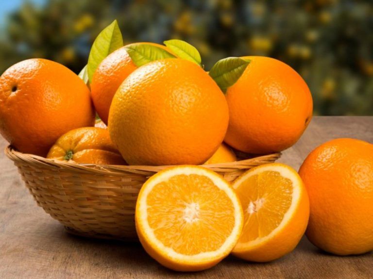 Conozca el valor alimenticio de la naranja