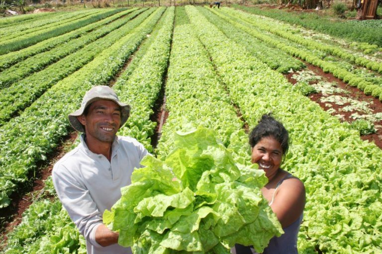 Ministerio de Agricultura impulsará proyectos agrícolas en Antioquia