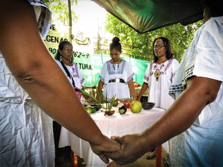 Un sueño en caña flecha: lideresas zenúes tejen su historia de resiliencia