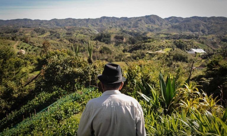 7 documentales que retratan al campo y sus habitantes