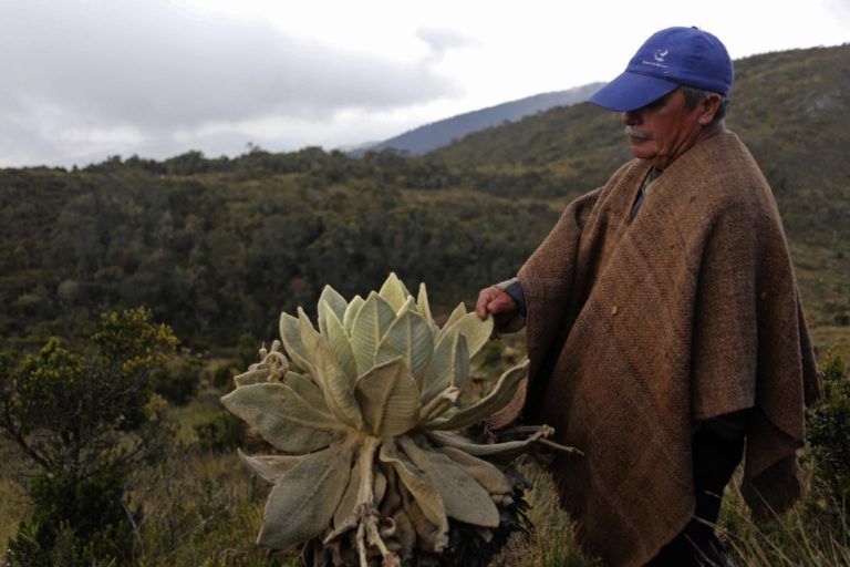 La ley que preocupa a campesinos que habitan páramos