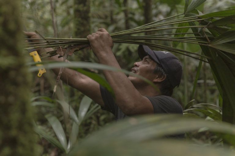 5 proyectos de sostenibilidad rural cerca de Bogotá