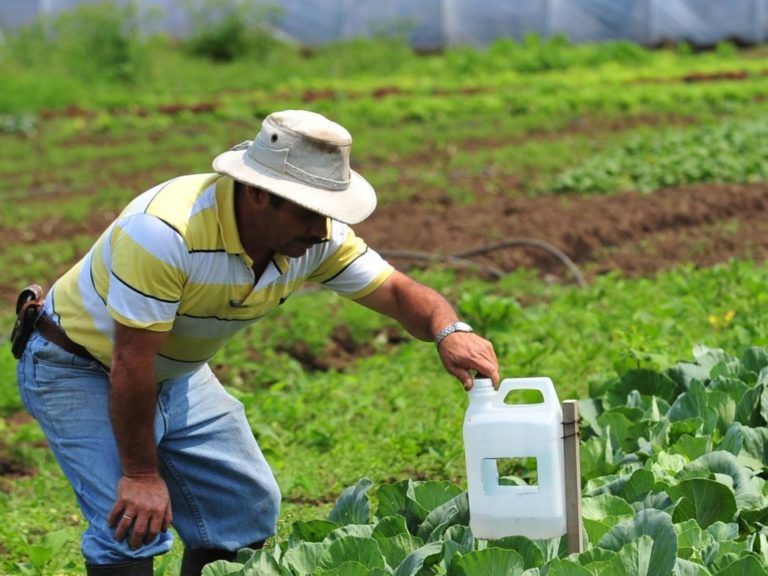 ¿Qué es el seguro agropecuario y cómo se está financiando?