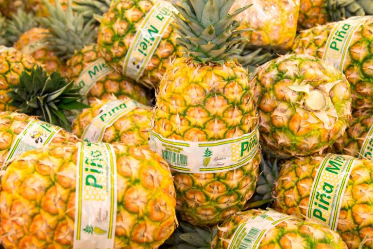 Piñatex, la iniciativa de ropa y calzado a base de hoja de piña
