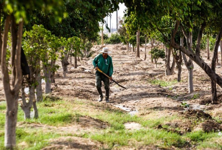 Medioambiente, tema principal de la reunión del Foro Económico Mundial